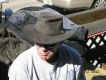 05DBNicelys40.JPG (86608 bytes)