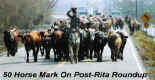 50HorseMarkroundup.jpg (42467 bytes)