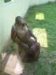 Lucky Monkey - 2.jpg (85488 bytes)