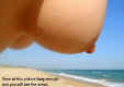 Oceanviewtitties.jpg (42554 bytes)